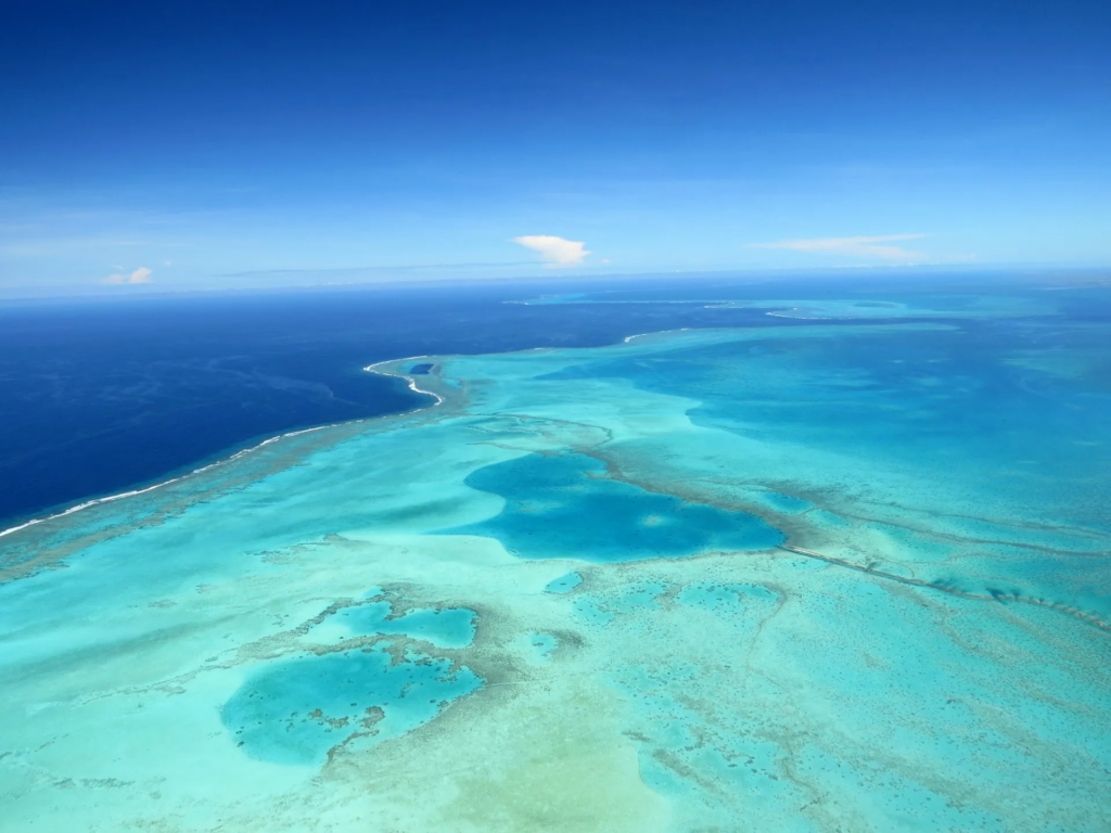 Startup airline business plan in the Pacific
